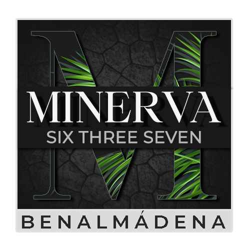 Minerva 637